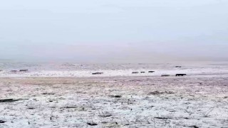 Erzuruma mevsimin ilk karı yağdı