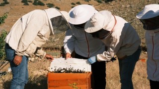 Erzurumda bal üretimi sektöre değer katıyor