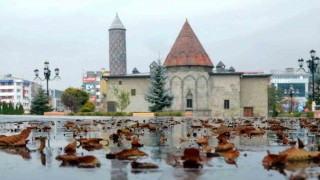 Erzurumda kuvvetli rüzgar uyarısı