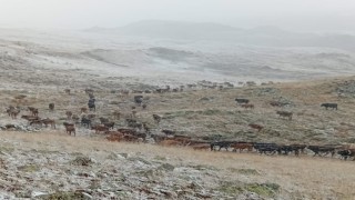 Erzurumda yüksek kesimlere kar yağdı