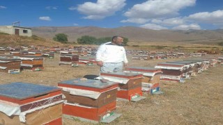 Erzurumun Çat ilçesinde arıcıların ayı nöbeti