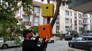 Eski dron çantaları kuş yuvasına dönüştü