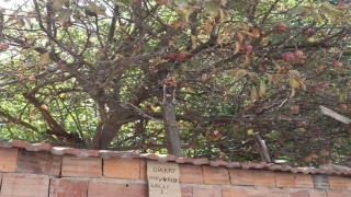 Eskişehirde şaşırtan uyarı