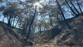 Evini yangından korumak için mücadele ederken kalp krizi geçirdi