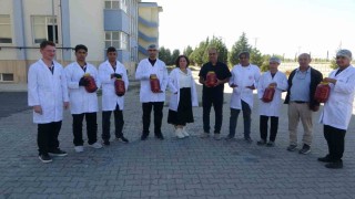 Fabrika gibi okul: Malatyada öğrenciler domates yetiştirip salça üretiyor