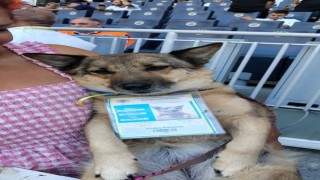 Fenerbahçe başkanlık seçiminde oy kullanma sona erdi