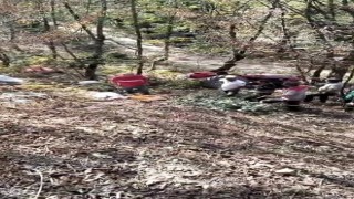 Fındık bahçesinden dönen traktör devrildi, sürücü hayatını kaybetti