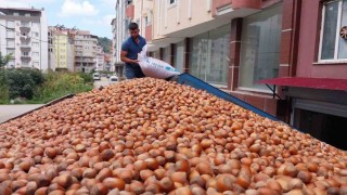 Fındık ihracatında çıta yükseliyor