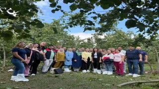 Fındıkta verim ve kalite arttırılacak