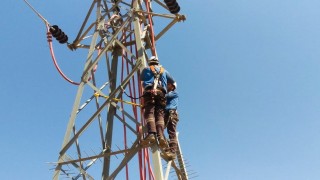 Fırat EDAŞ,  kesintisiz enerji arzını ve leylekleri güvence altına alıyor