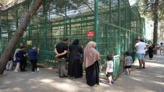 Gaziantep Doğal Yaşam Parkında 8 ayda bir yılın rekoru kırıldı