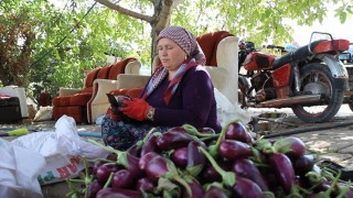 Gaziantepli kadınların kurutmalık mesaisi devam ediyor