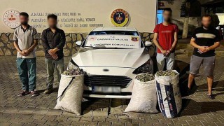 Gaziantepte hırsızlık şüphelisi 24 şahıs yakalandı