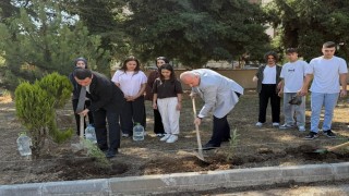 Geleceğe nefes olacak fidanlar toprakla buluştu