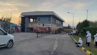 Gemlik Serbest Bölgede çıkan yangın paniğe neden oldu