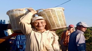 Gençlere taş çıkartıyor