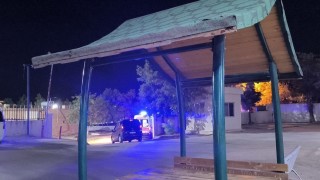 Gercüşte ağaçtan düşen adam ağır yaralandı