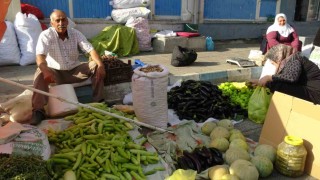 Gercüşte organik ürünlerdeki bolluk fiyatları düşürdü