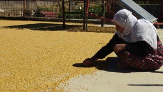 Gercüşte yüzyıllardır devam eden bulgur kaynatma geleneği devam ediyor