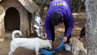 Getirden bu yıl da 1 milyon kap mama desteği