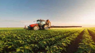 Gıda ve İçecek Sektöründe İhracatta Artış, İthalatta Rekor Yükseliş