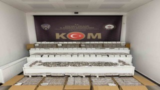 Gölcükte bin 912 bandrol ile 206 bin 300 makaron ele geçirildi