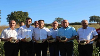 Gönende 2. aronya hasadı yapıldı