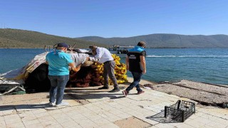 Güllük Körfezinde kaçak avcılık denetimi