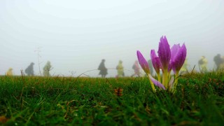 Gümüşhanede 130 dağcı Çetlüce Yaylasında sis ve yağmur altında yürüdü