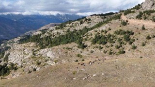 Gümüşhanede genç muhtarın Türkiyeye ilham veren başarı hikayesi