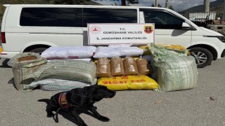 Gümüşhanede kaçak tütün operasyonu: 530 kilo tütün ele geçirildi
