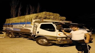 Gümüşhanedeki kazada yaralanan Trabzonlu genç kurtarılamadı