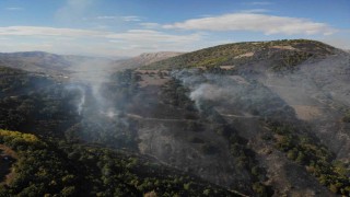 Gümüşhanedeki orman yangınında 30 hektar alan küle döndü