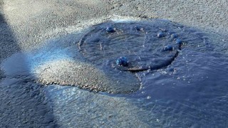 Hadımköyde kanalizasyondan mavi atık su taştı