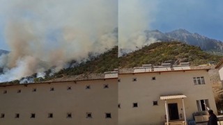 Hakkari-Çukurca kara yolundaki makilik alanda yangın çıktı