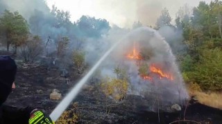 Hakkaride 3 farklı bölgede çıkan yangın itfaiye ekiplerince söndürüldü
