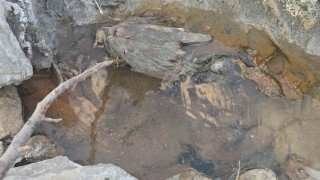 Hakkaride gizemli kükürt vadisi: İnsanlara şifa, hayvanlara ölüm