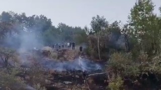 Hakkaride ormanlık alanda yangın