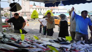 Hamsi için geri sayım başladı: Balıkçılar yolunu gözlüyor