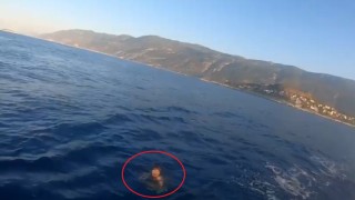 Hapis cezası ile aranıyordu, Yunan adasına yüzerek kaçmaya çalışırken yakalandı