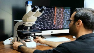 Hastalıklar, kök sebebi hedeflenerek tedavi edilecek