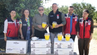 Hatay Büyükşehir Belediyesi’nden Narenciye Üreticisine Destek