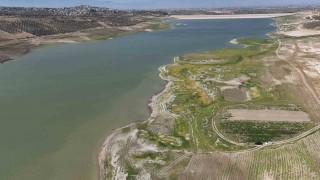 Hatayda son 65 yılın en kurak yılı yaşandı