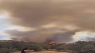Hatayda zeytinlik alanda çıkan yangın büyümeden söndürüldü