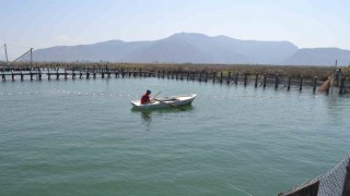Havuzlar açılmadı, tonlarca balık telef oldu iddiası