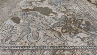 Hayvan figürleriyle dolu bin 700 yıllık Roma mozaiği, burjuva yaşamının izlerini taşıyor