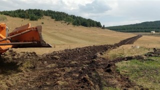 Hayvan hastanesi için alternatif yol çalışması