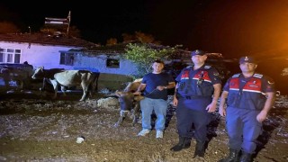 Hayvanları kaybolan çiftçinin imdadına Jandarma ekipleri yetişti