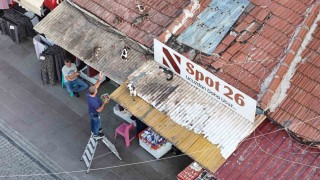 Her gün merdivene çıkıp çatıdaki kedileri besliyor