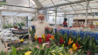 Her şey bir kaktüs ile başladı